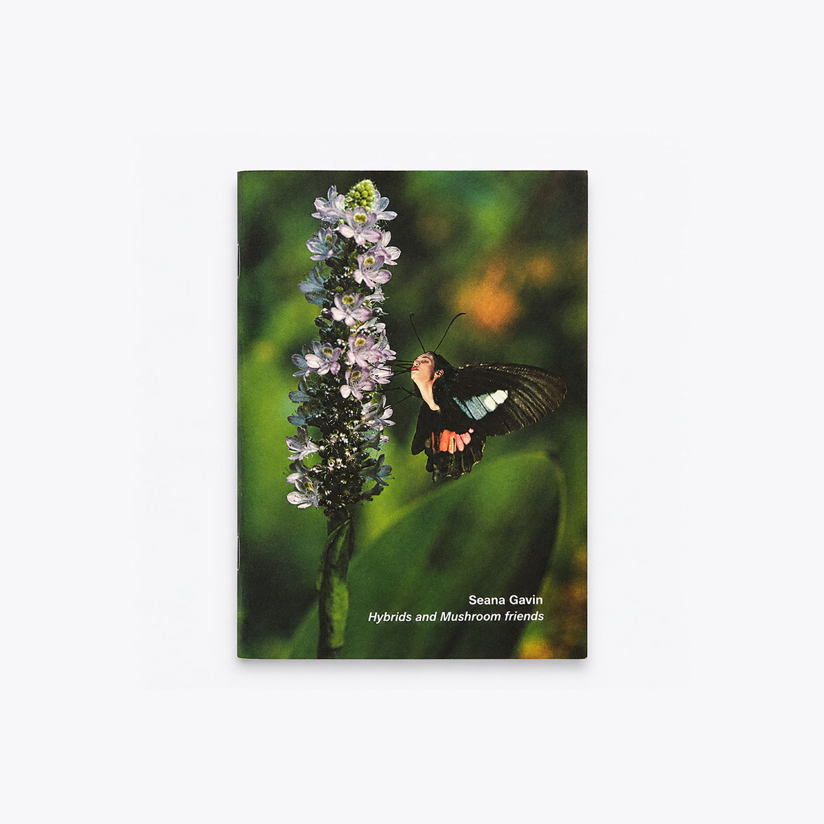 Seana Gavin 'Hybrids and Mushroom friends' - Innen Books