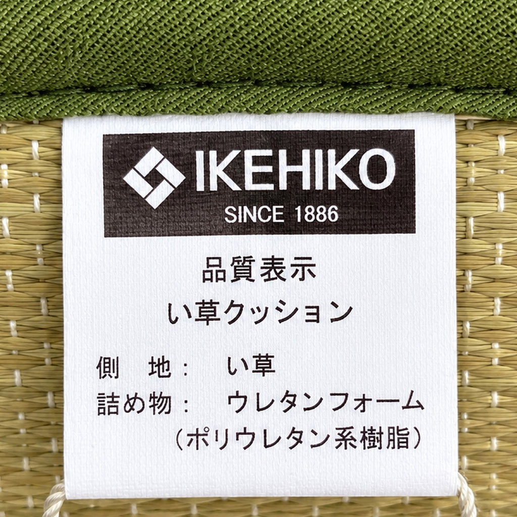 Sometaro Tatami Cushion - Green