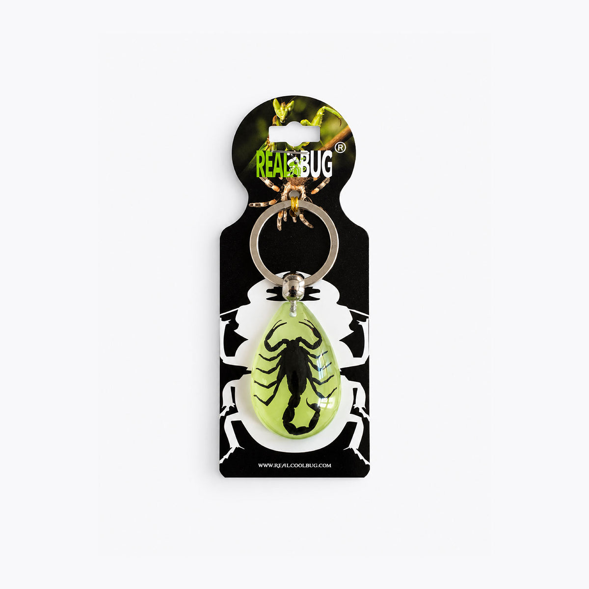 Real Bug Keychain - Scorpion