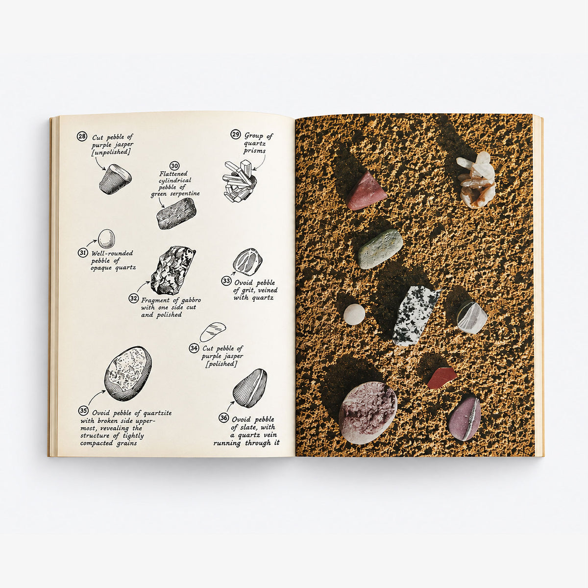 The Pebbles on the Beach - Clarence Ellis