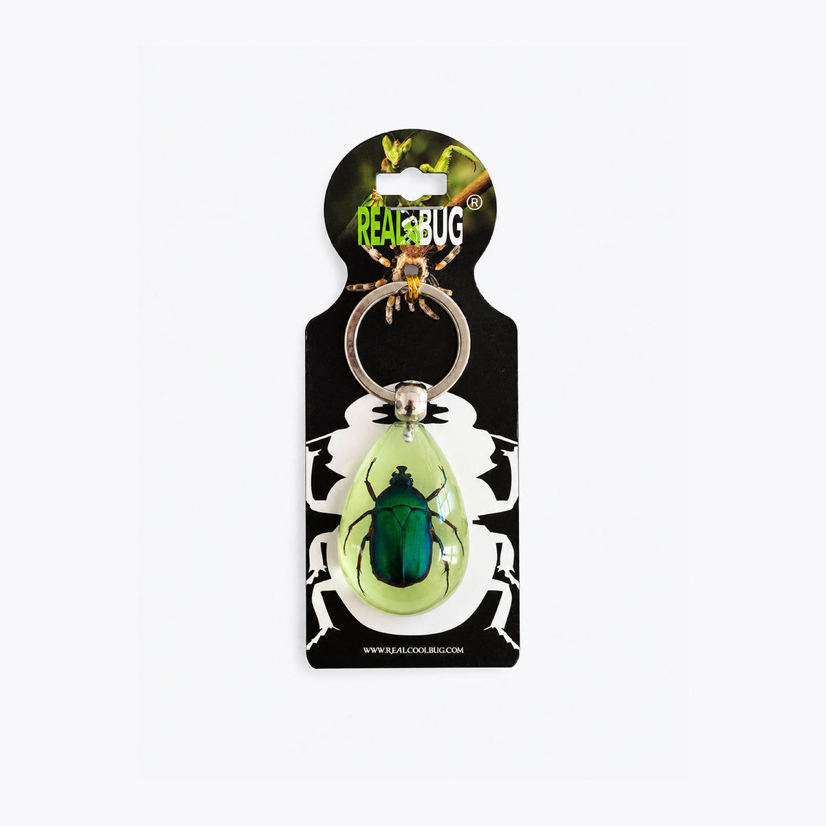 Real Bug Keychain - Beatle